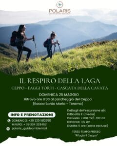 Laga