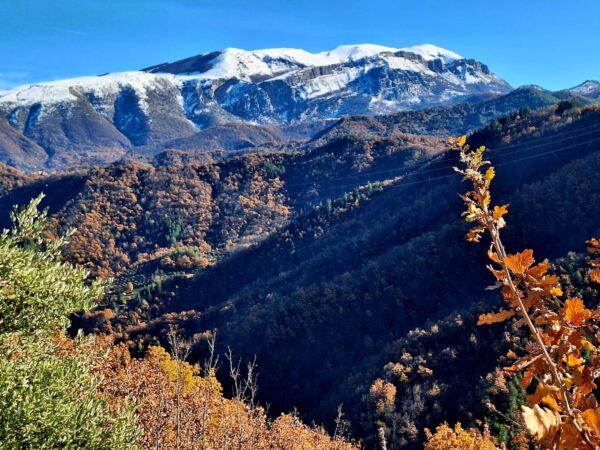 La Rete delle Comunità dei Monti della Laga nel progetto nazionale ARCE