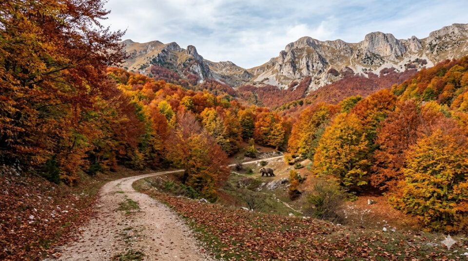 c6529500-35b3-4acd-820f-d04c666b9e64