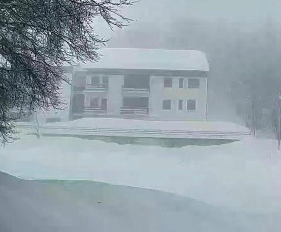 95deb525-b56c-44e3-82e6-7513705d0c71