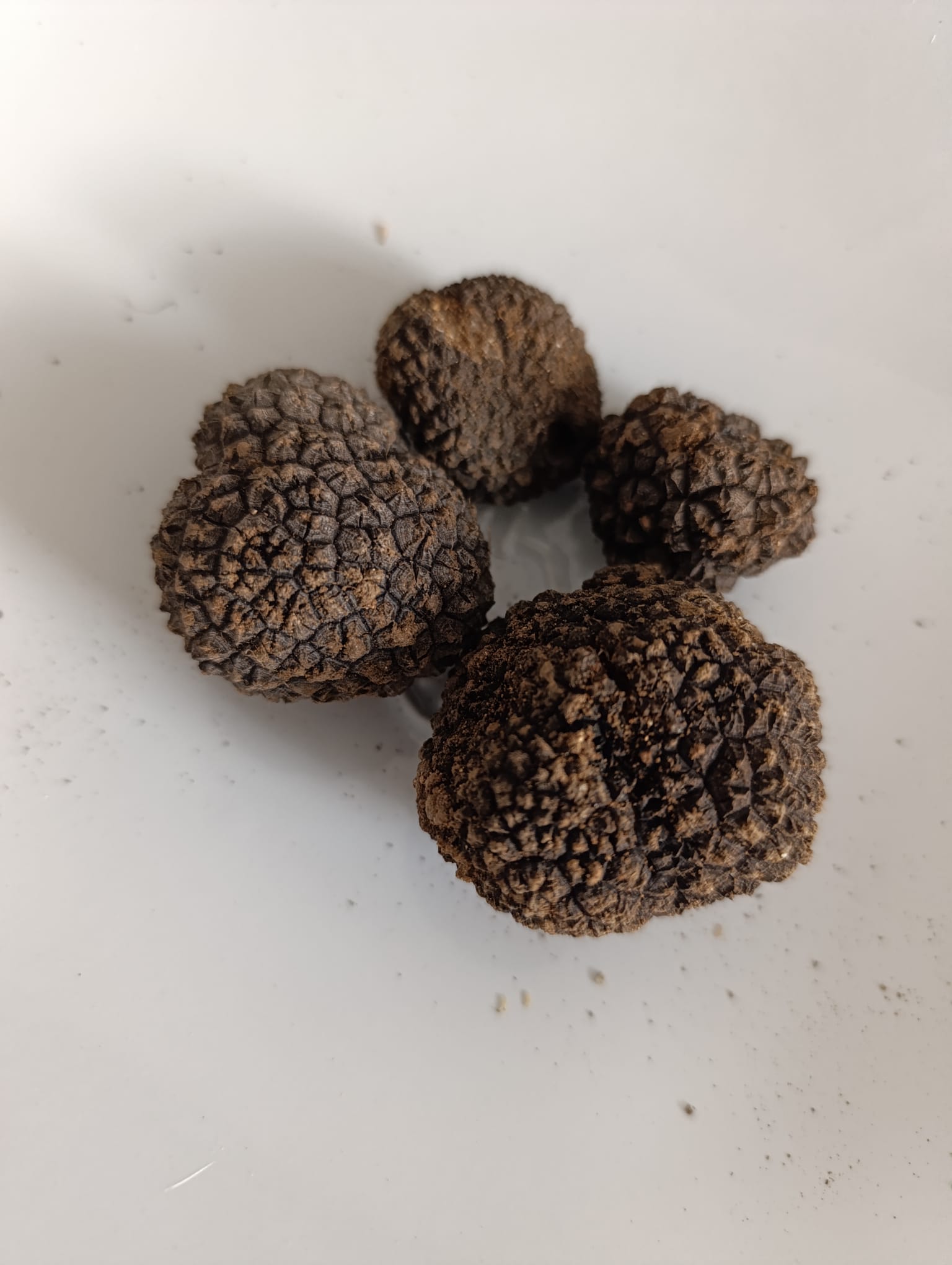 Tartufo, attenzione all'inganno del sintetico